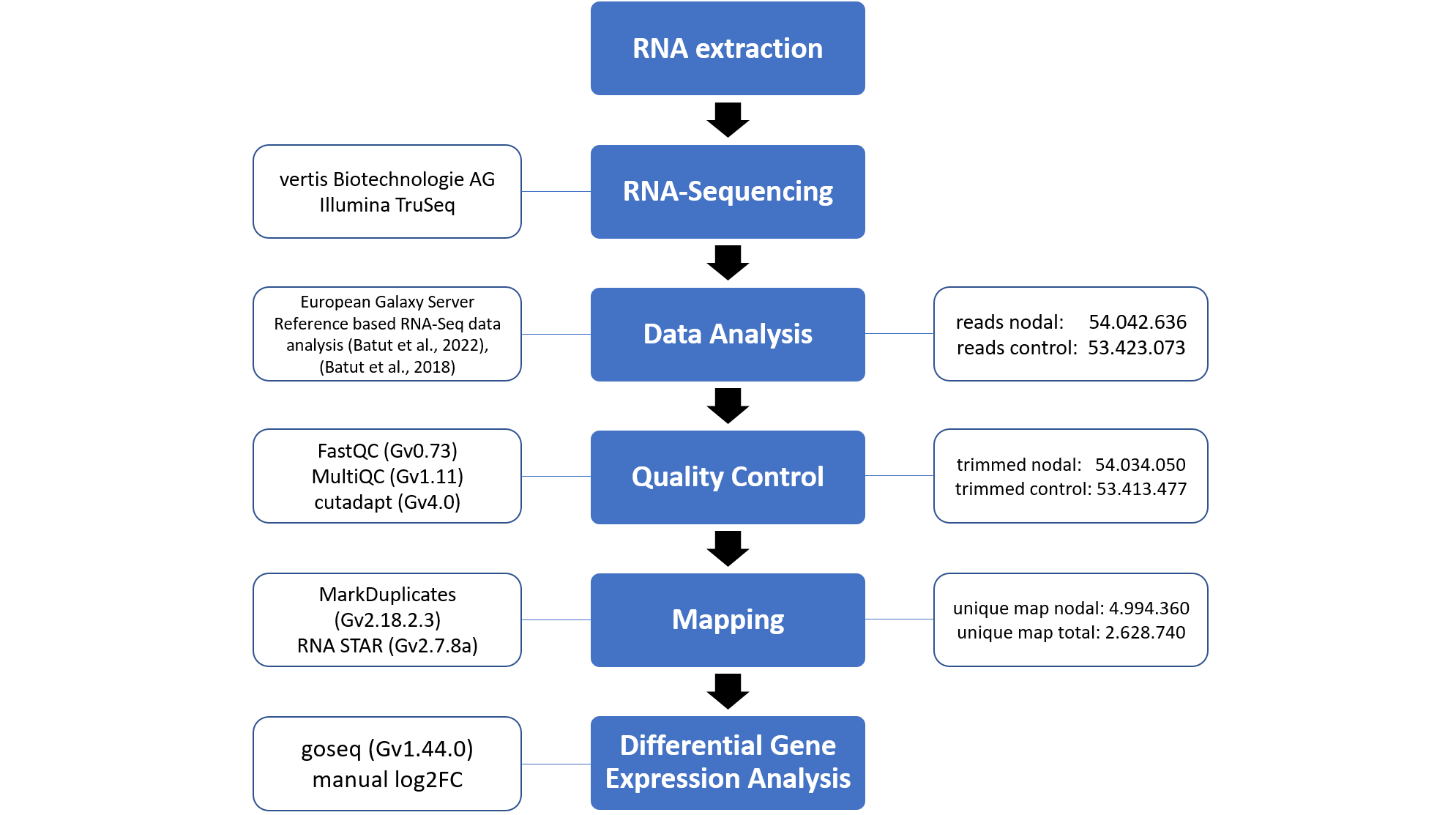workflows/RNAseqWorkflow_Data.png