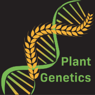 HHU Institute of Plant Genetics